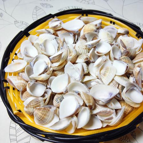 海鲜小贝壳的盐水浓度多少合适?-图3 海鲜小贝壳的盐水浓度多少合适?-图3