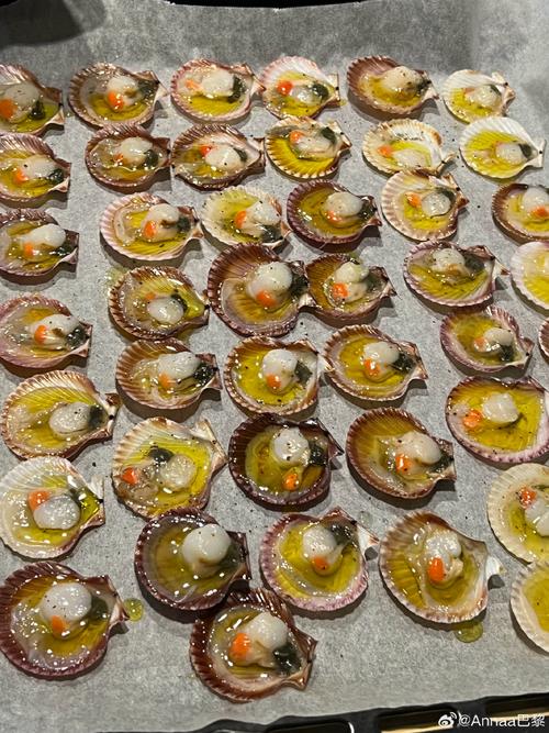 海鲜小贝壳的盐水浓度多少合适?-图1 海鲜小贝壳的盐水浓度多少合适?-图1