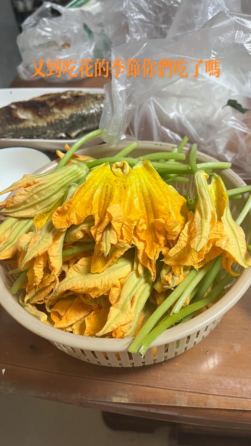 蒸南瓜花的做法大全家常-图1 蒸南瓜花的做法大全家常-图1