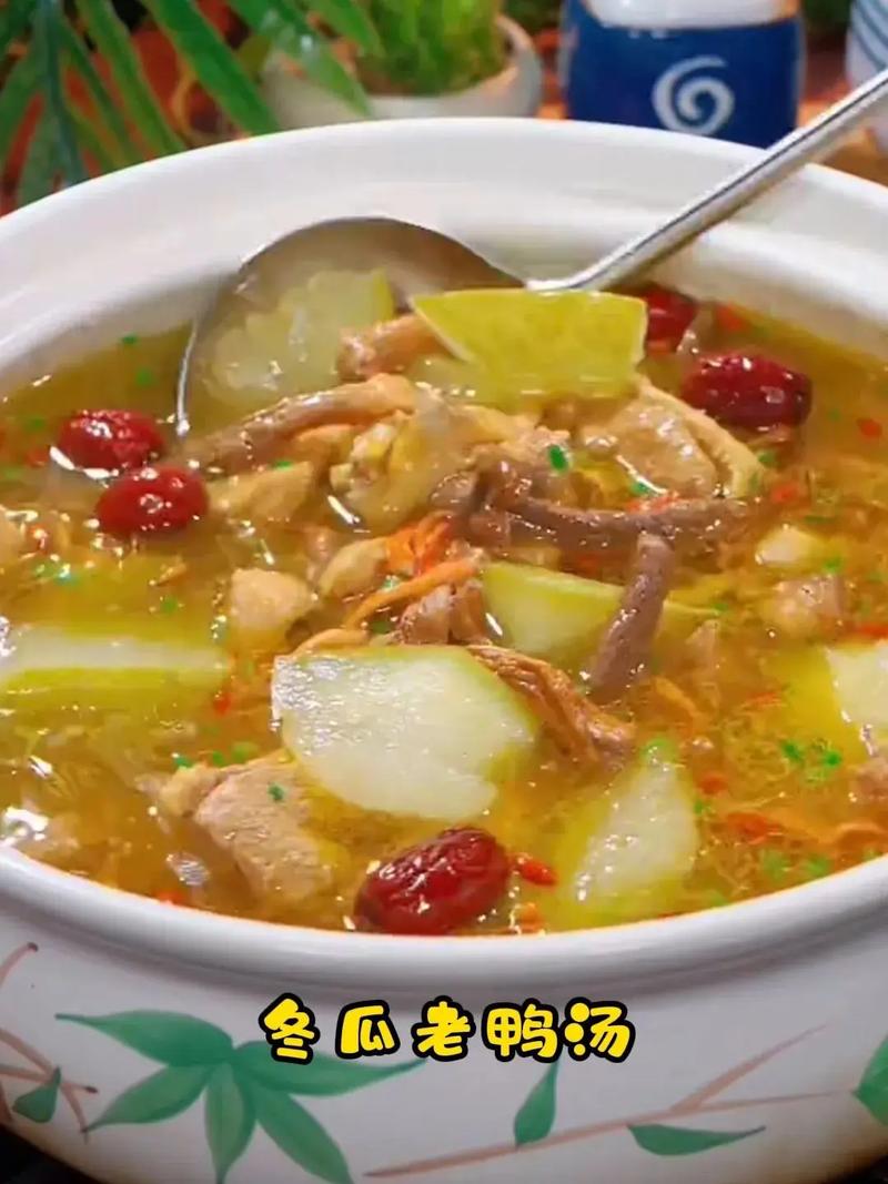 冬瓜鹅汤怎么做?家常做法有哪些?-图3 冬瓜鹅汤怎么做?家常做法有哪些?-图3