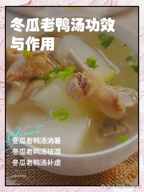 冬瓜鹅汤怎么做?家常做法有哪些?-图2 冬瓜鹅汤怎么做?家常做法有哪些?-图2