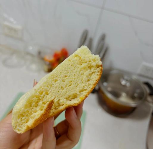 用电饭煲自制宝宝美食-图3