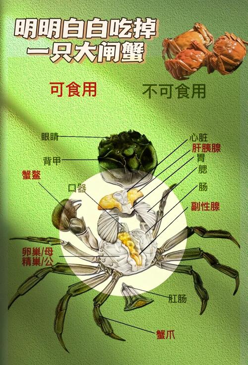 海鲜大闸蟹的腿到底怎么吃才不浪费？-图1