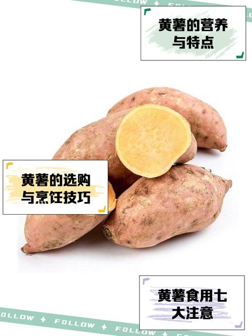 黄地瓜做法大全家常做法-图1 黄地瓜做法大全家常做法-图1