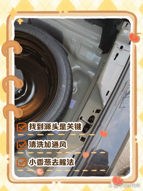 车内海鲜腥味怎么快速去除?-图3 车内海鲜腥味怎么快速去除?-图3