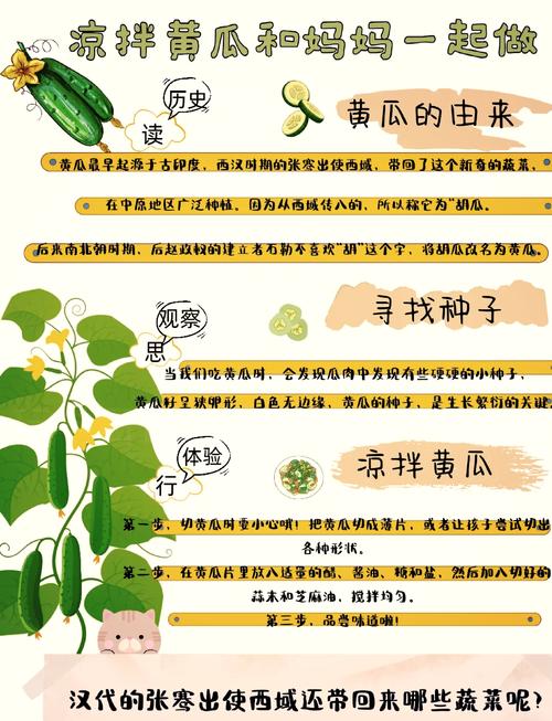 适合宝宝黄瓜做法大全-图3