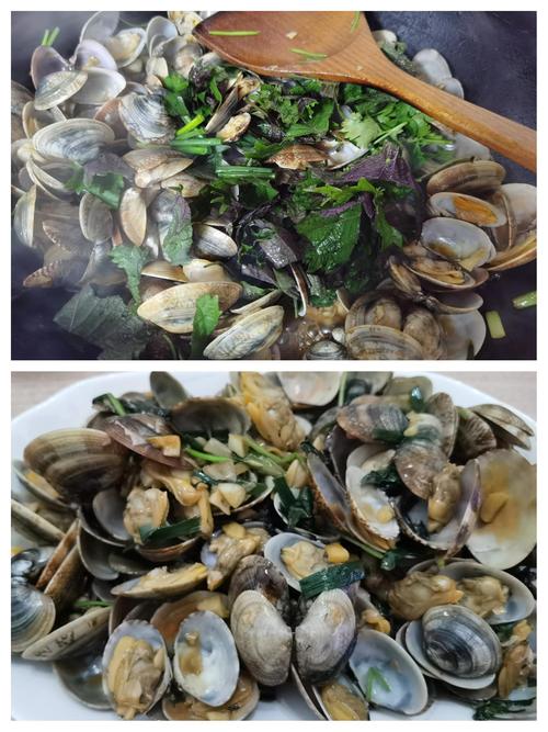 紫苏炒海鲜,紫苏真的不用泡水吗?-图1 紫苏炒海鲜,紫苏真的不用泡水吗?-图1