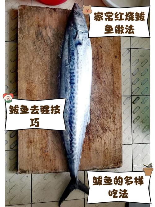 海鲅鱼家常做法有哪些？-图2