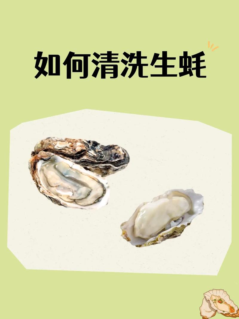 海鲜清洗保存有必要吗？-图1