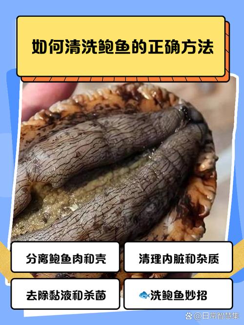 海鲜清洗保存有必要吗？-图3