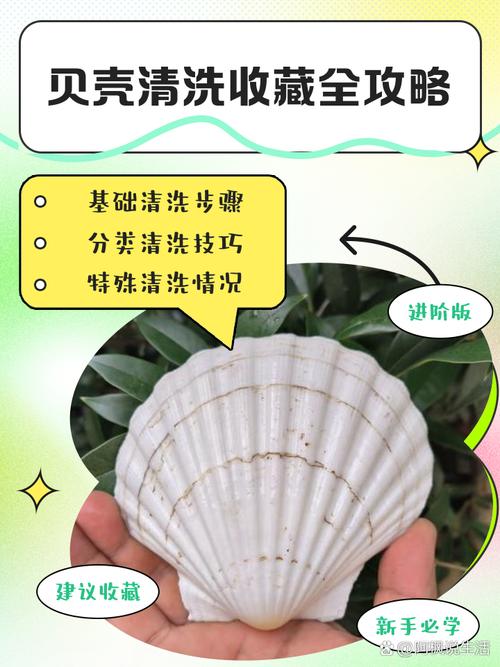 海鲜清洗保存有必要吗？-图2