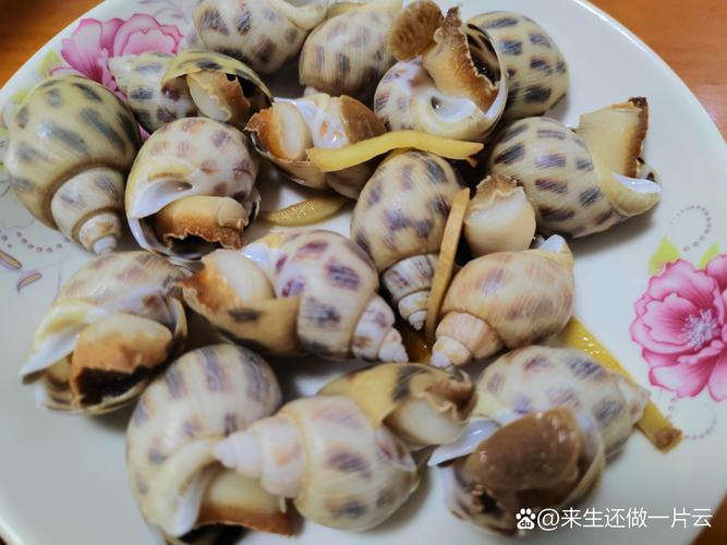 豆芽炖海鲜怎么做好吃又入味?-图1 豆芽炖海鲜怎么做好吃又入味?-图1