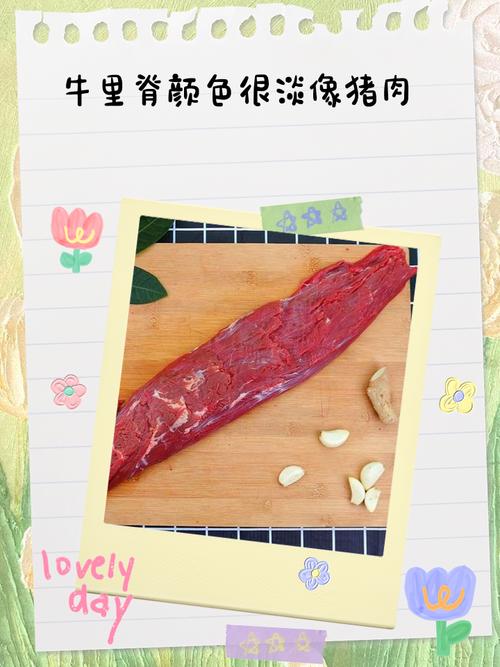 宝宝先吃猪肉还是牛肉-图1