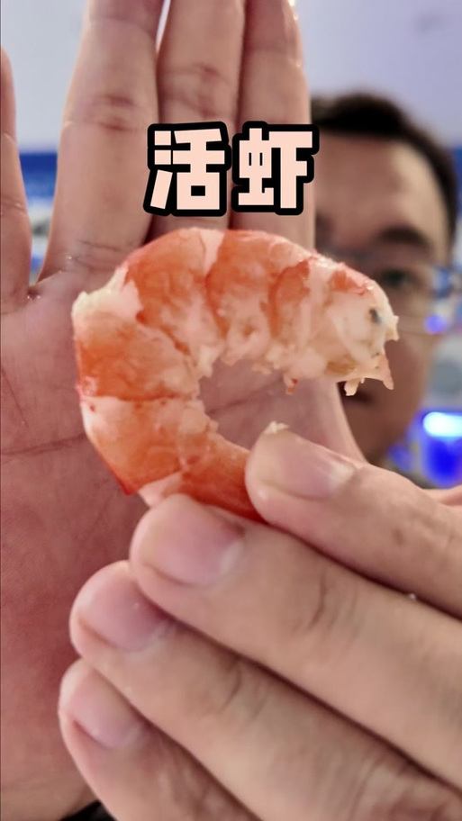 海鲜真能让丁丁变大吗？-图2