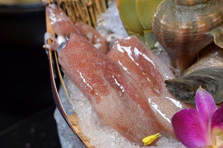 海鲜锁卷图片大全有哪些花样？-图2