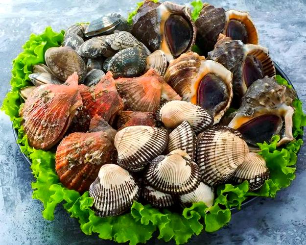 带贝壳的海鲜有哪些常见品种？-图3