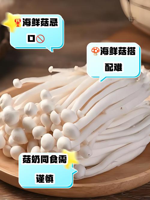 用海鲜菇撰写优美句子-图3