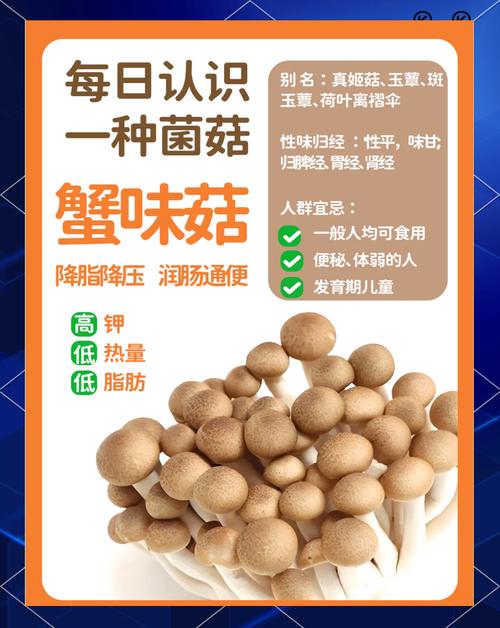 海鲜菇吃了对身体有什么好处？-图1