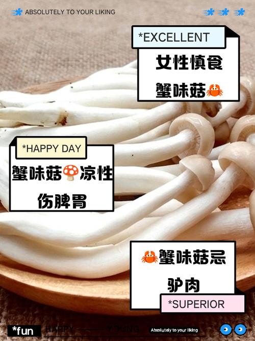 海鲜菇吃了对身体有什么好处？-图2