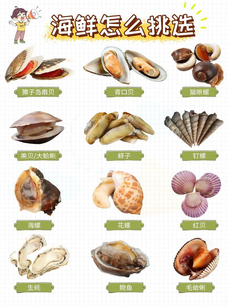 活海鲜品种有哪些？-图1