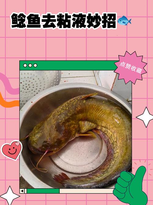 鲶鱼宝宝怎么做?视频做法大全来了!-图2 鲶鱼宝宝怎么做?视频做法大全来了!-图2