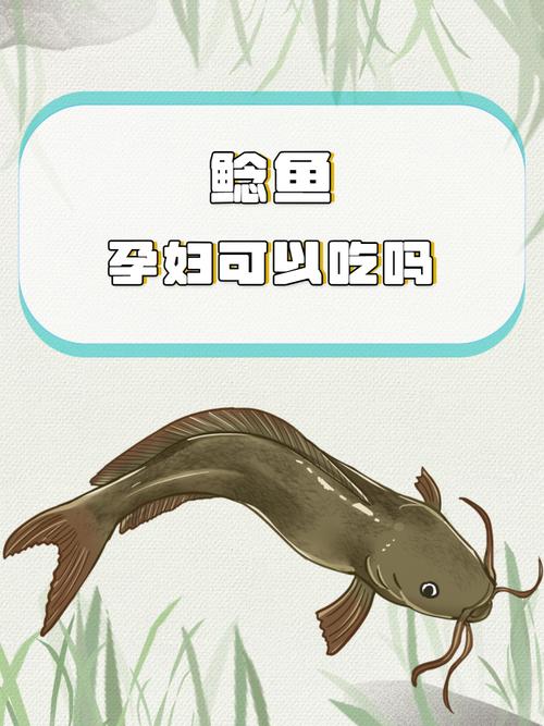 鲶鱼宝宝怎么做?视频做法大全来了!-图3 鲶鱼宝宝怎么做?视频做法大全来了!-图3