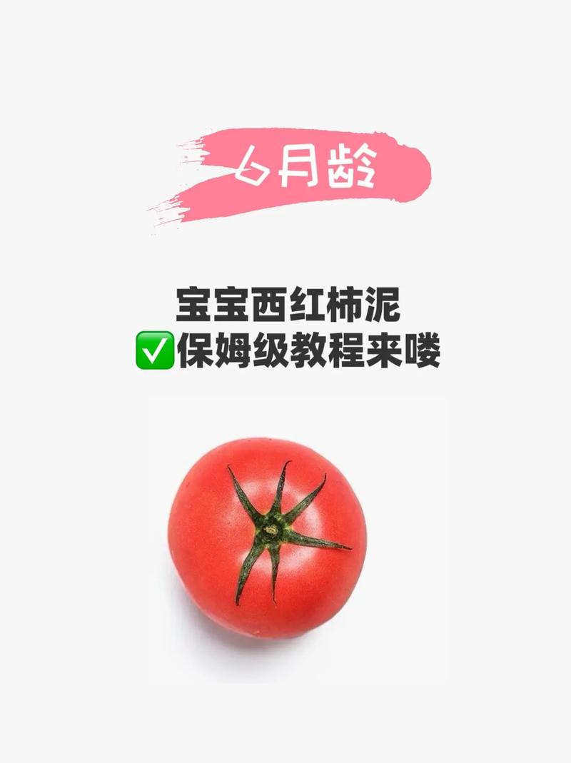 宝宝辅食怎么加西红柿？-图1