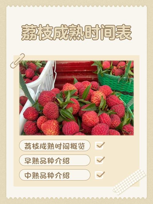 荔枝后多久吃海鲜才安全？-图1