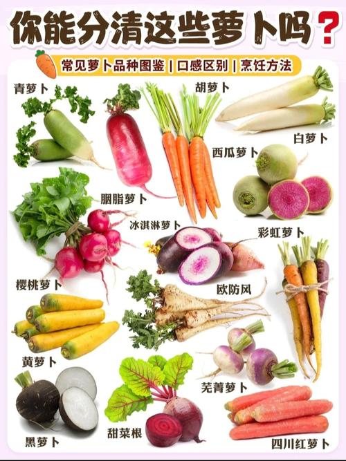 海鲜生萝卜同食会中毒吗？-图3