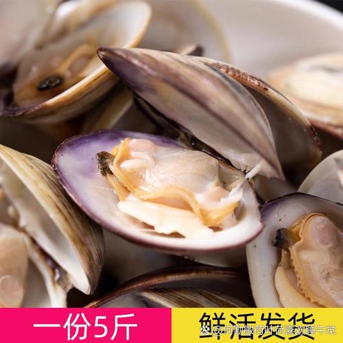 海鲜天鹅贝有何营养价值？-图3