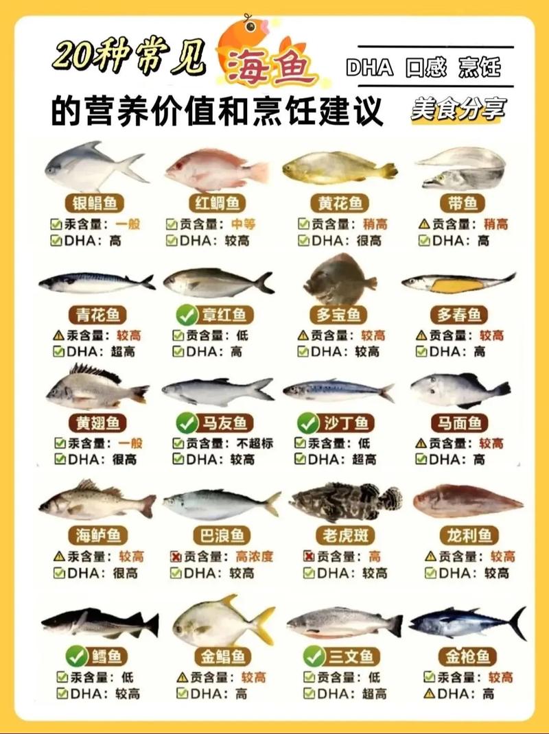 海鲜小鱼怎么做好吃?-图2 海鲜小鱼怎么做好吃?-图2