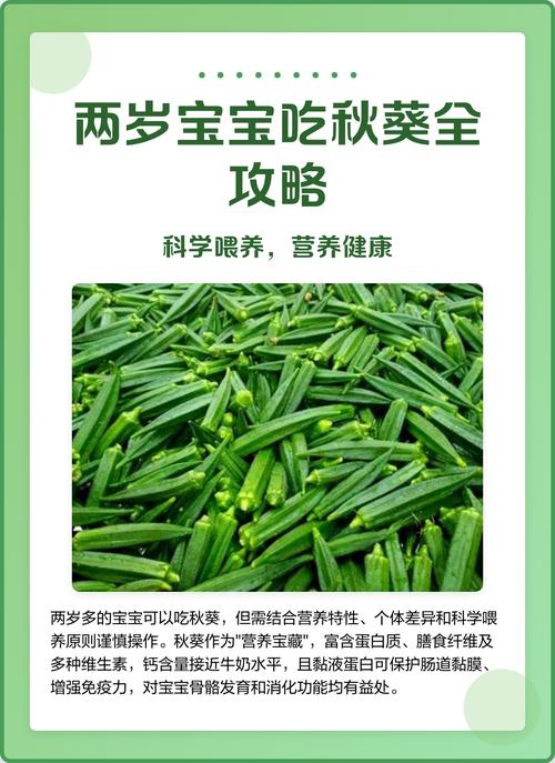 宝宝吃秋葵怎么做才好吃又营养？-图1