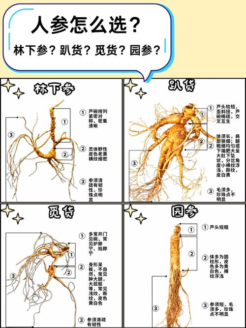 人参为何忌与海鲜同食？-图1