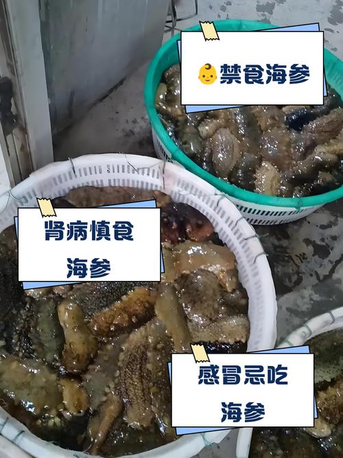 人参为何忌与海鲜同食？-图2