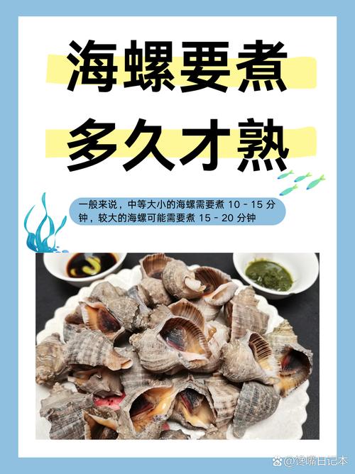 蒸大海螺怎么做才最入味？-图3