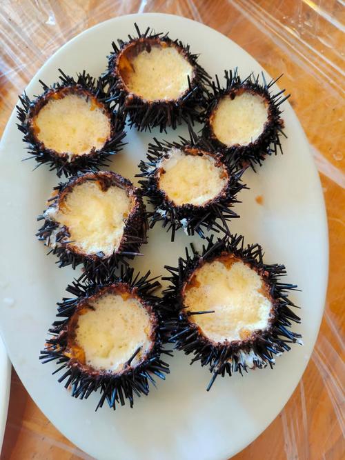 南京哪家的海鲜馆能吃到新鲜海胆?-图2 南京哪家的海鲜馆能吃到新鲜海胆?-图2