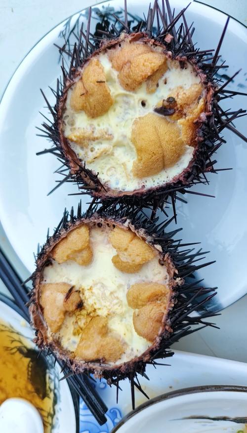 南京哪家的海鲜馆能吃到新鲜海胆?-图3 南京哪家的海鲜馆能吃到新鲜海胆?-图3