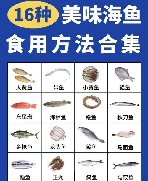 海鲜名字图片多，如何快速认全？-图1