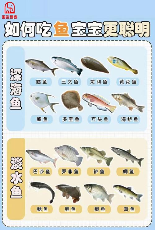 宝宝 可以比目鱼鱼吗-图2