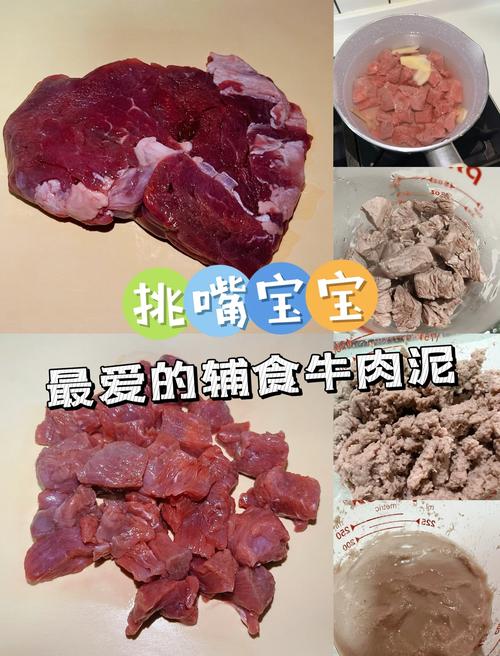 11月宝宝能吃牛肉泥吗？怎么做好？-图2