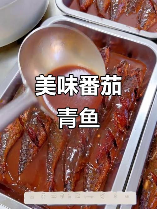 家常番茄青鱼的做法大全-图2 家常番茄青鱼的做法大全-图2