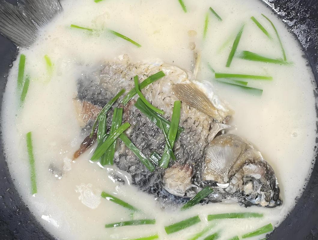 鲫鱼鱼煲怎么做？家常做法有哪些？-图2