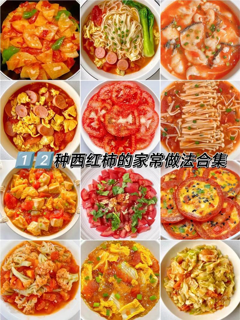 西红柿早餐做法大全家常-图1