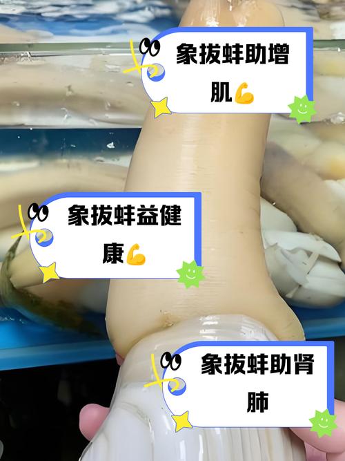 象牙蚌怎么吃最鲜美？-图1