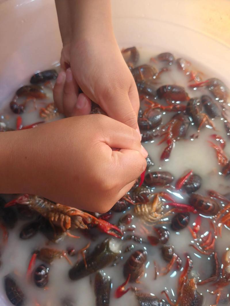 宝宝龙虾做法大全视频,怎么做宝宝能吃?-图3 宝宝龙虾做法大全视频,怎么做宝宝能吃?-图3