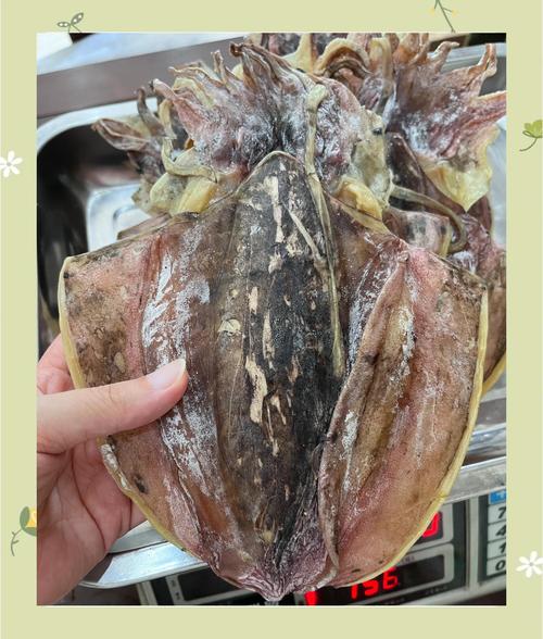 墨鱼家常做法有哪些?-图2 墨鱼家常做法有哪些?-图2