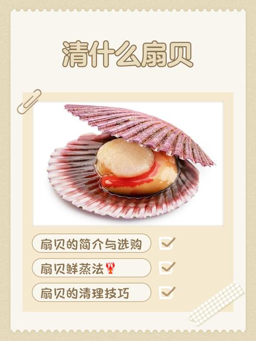 海贝儿海鲜怎么做？有哪些特色做法？-图2