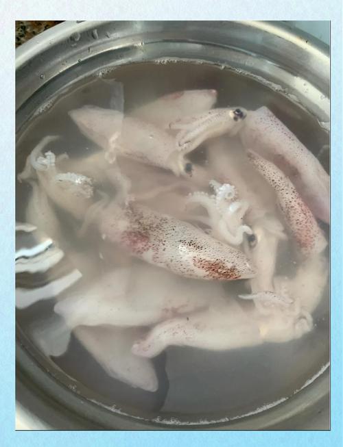 宝宝鱿鱼怎么做？视频教程在这里！-图2