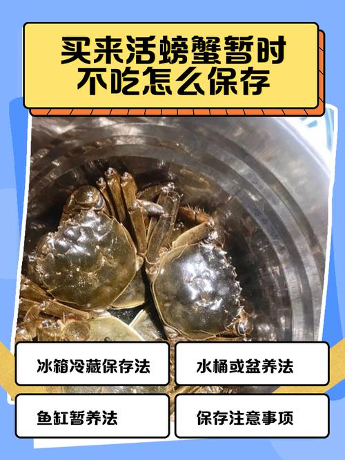 生的海鲜怎么正确保存?-图1 生的海鲜怎么正确保存?-图1
