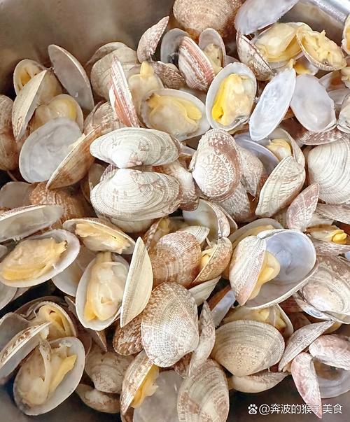 黄色壳的海鲜究竟是什么?-图2 黄色壳的海鲜究竟是什么?-图2
